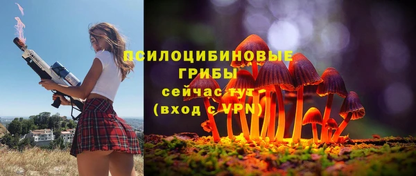 твердый Пересвет