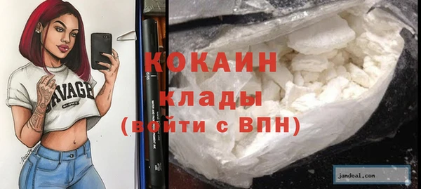 соль ск Алексин